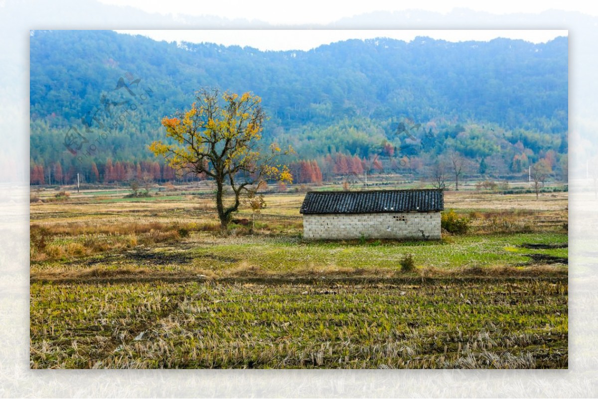 安徽塔川秋色图片