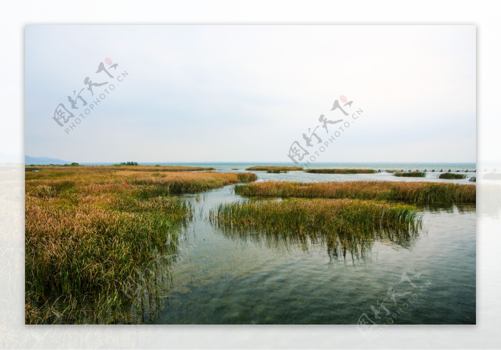 太湖湿地公园图片