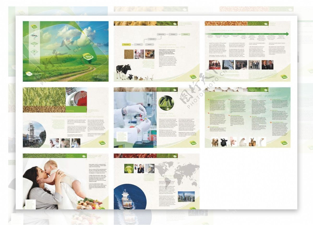 国外农牧行业画册设计图片