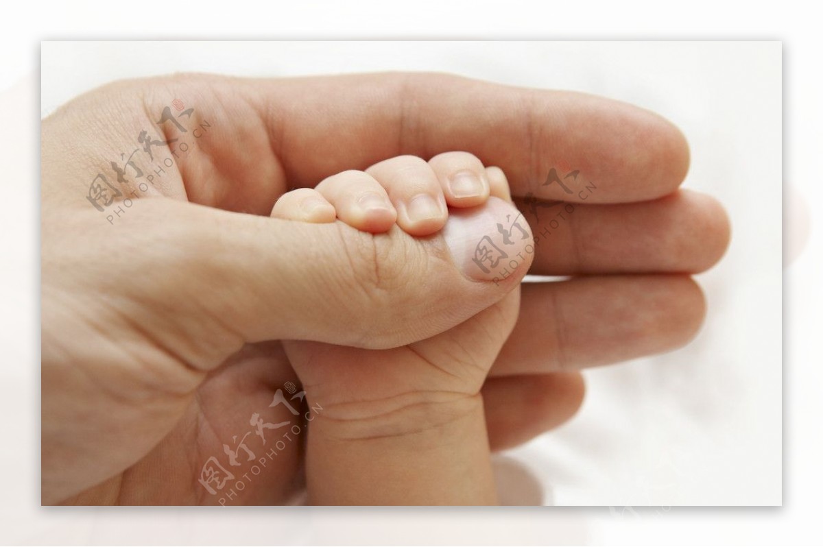 握着大人大拇指的婴儿手图片