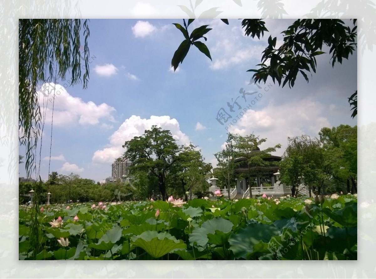 惠州西湖风景图片