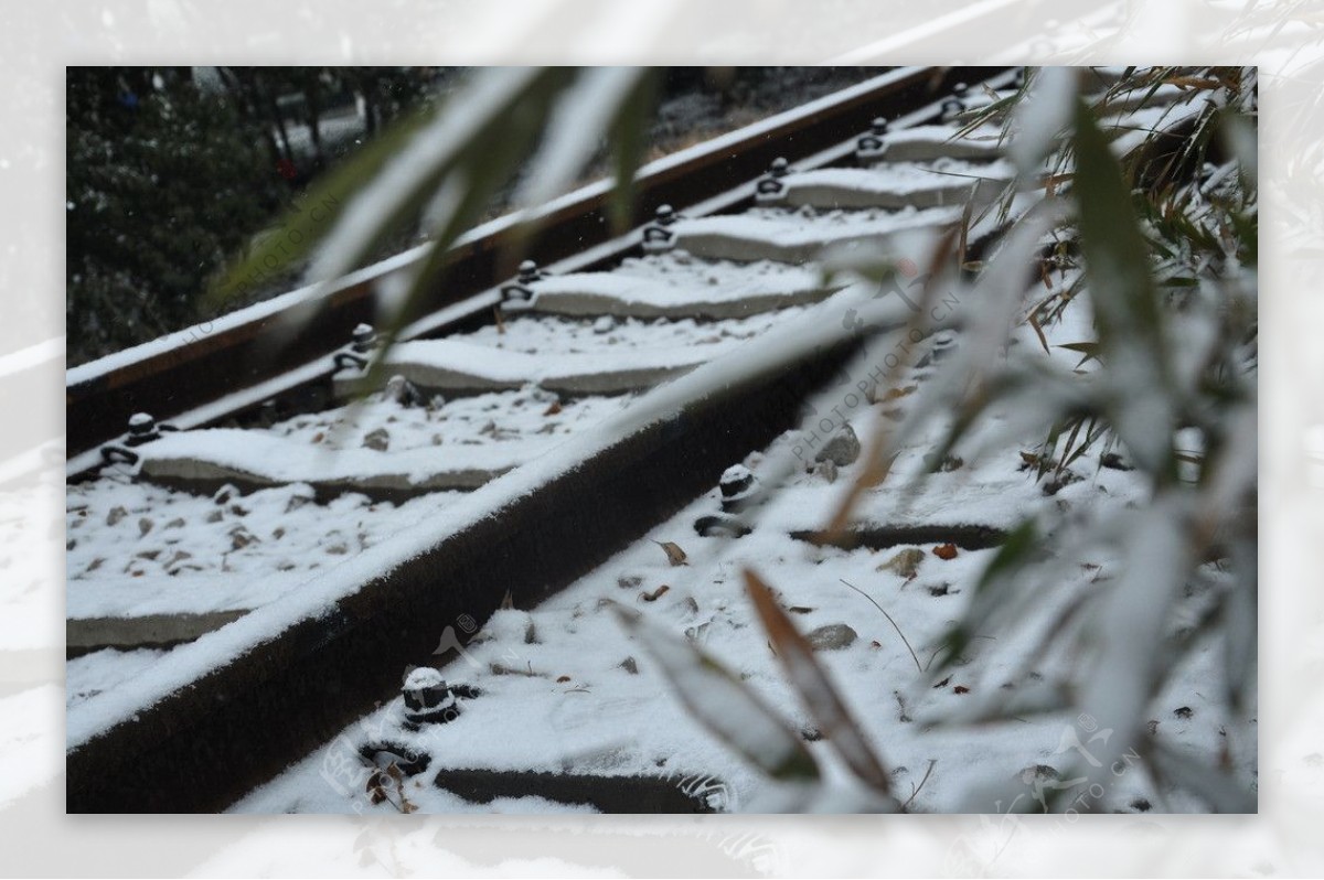 雪中火车道图片