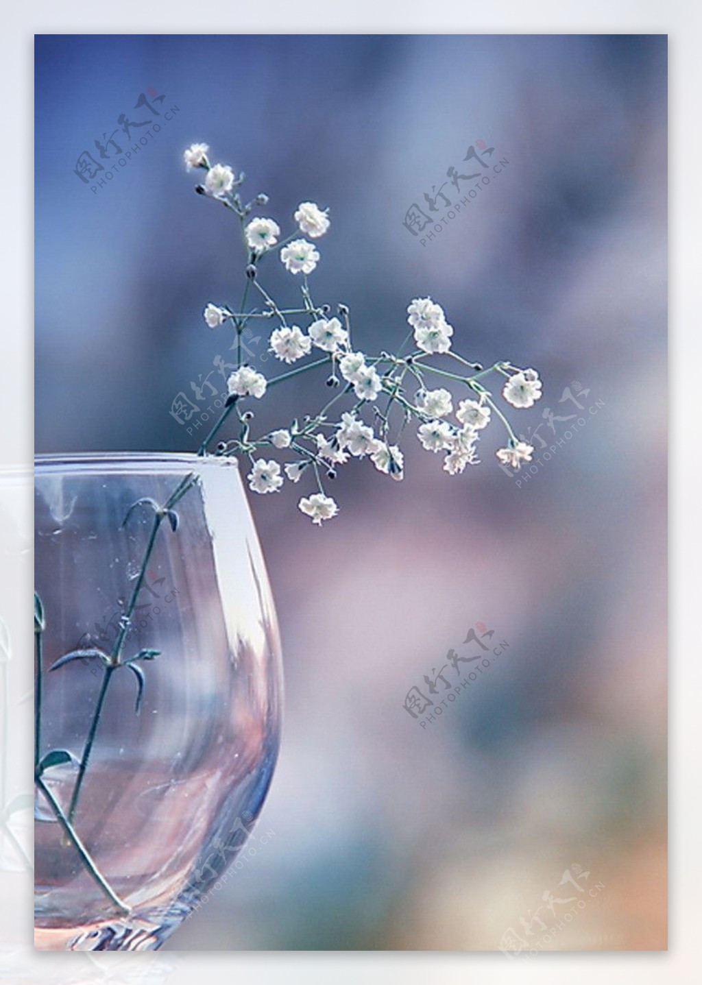 玻璃杯与花图片