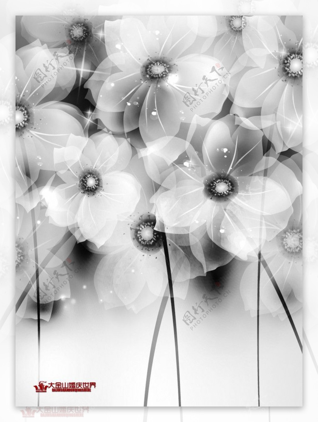 黑白唯美鲜花背景图片