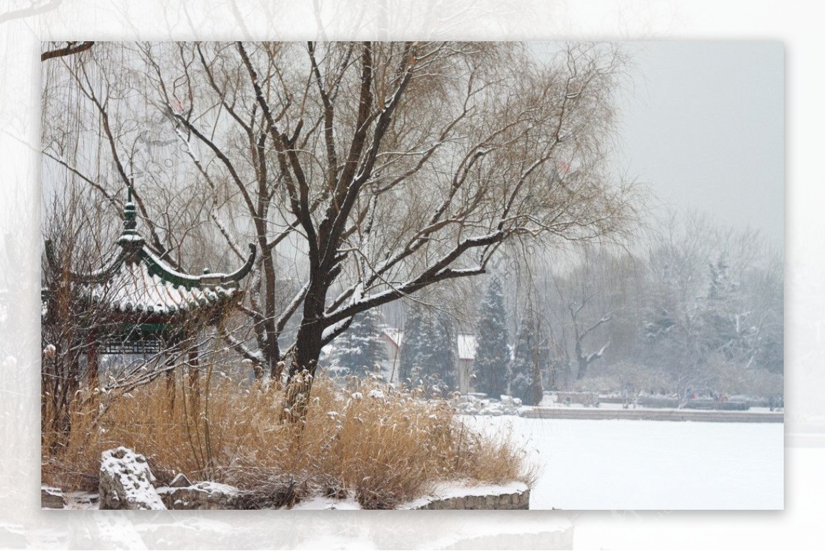 冬天雪景图片