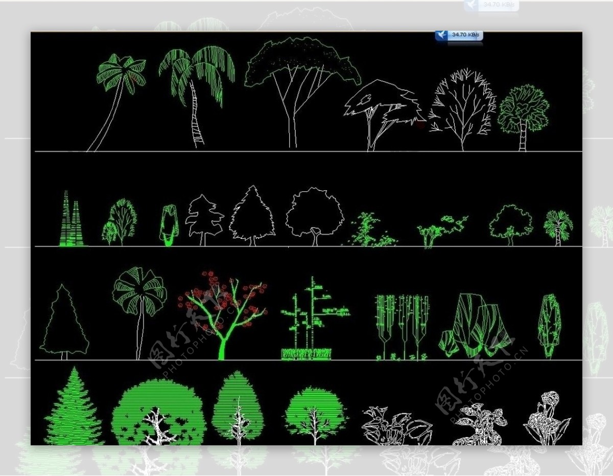 园林立面植物图例图片