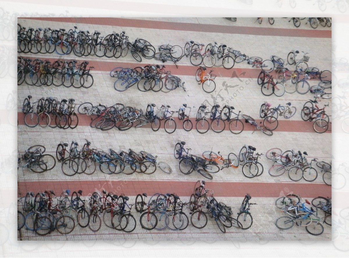大学城的自行车阵图片