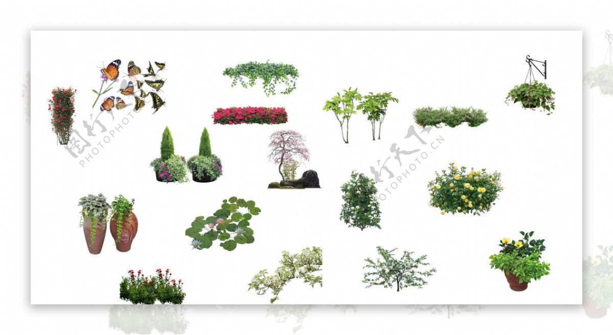 花灌木植物素材PSD图片