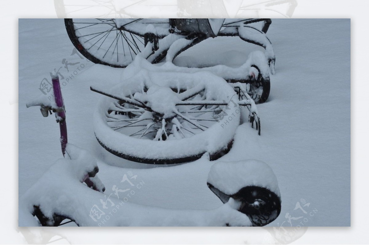 雪中自行车2图片