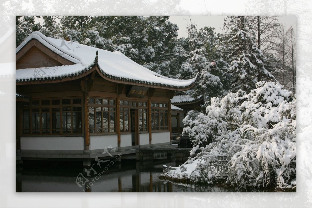 杭州花圃雪后初晴图片