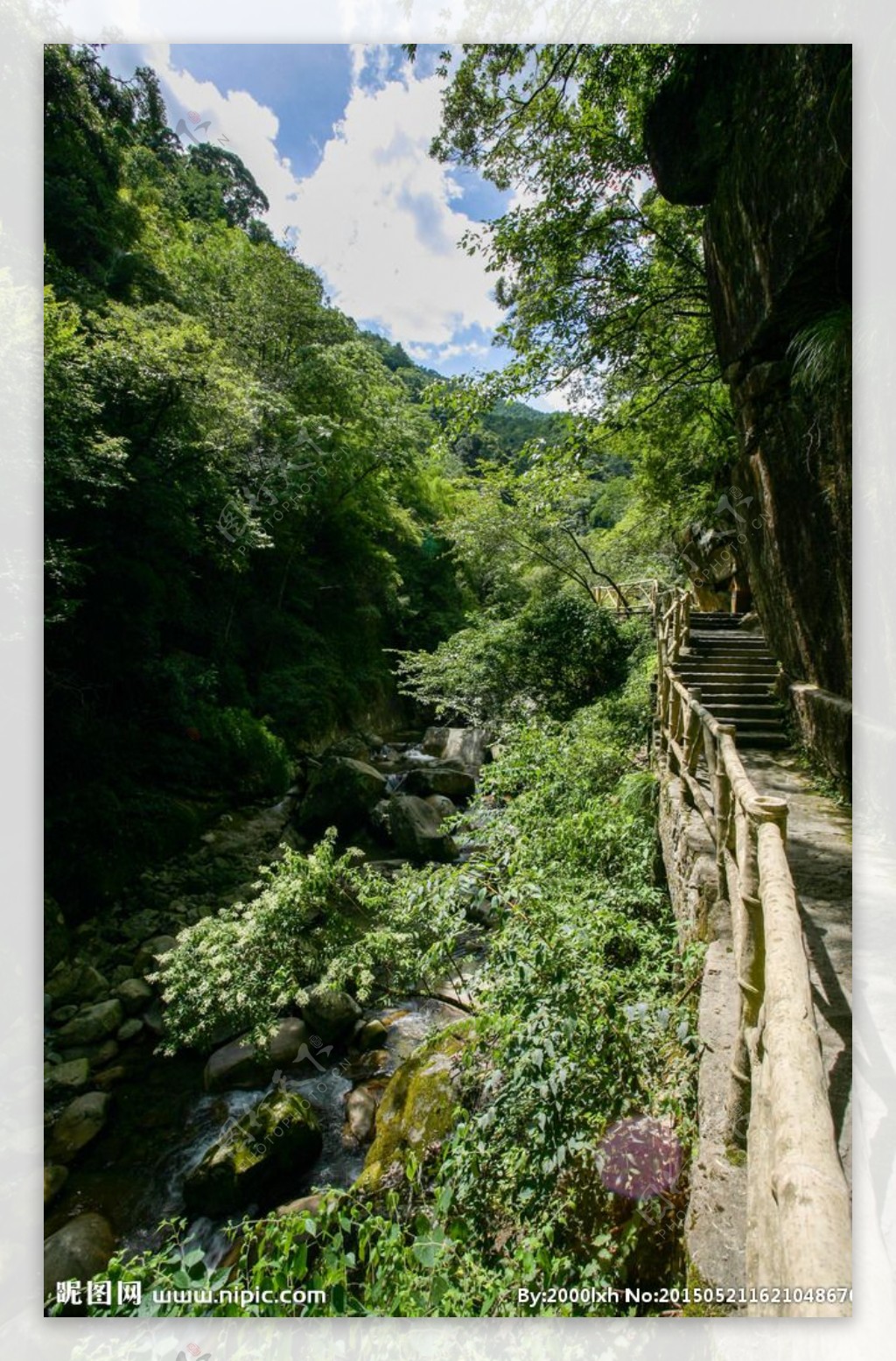 大鄣山卧龙谷图片