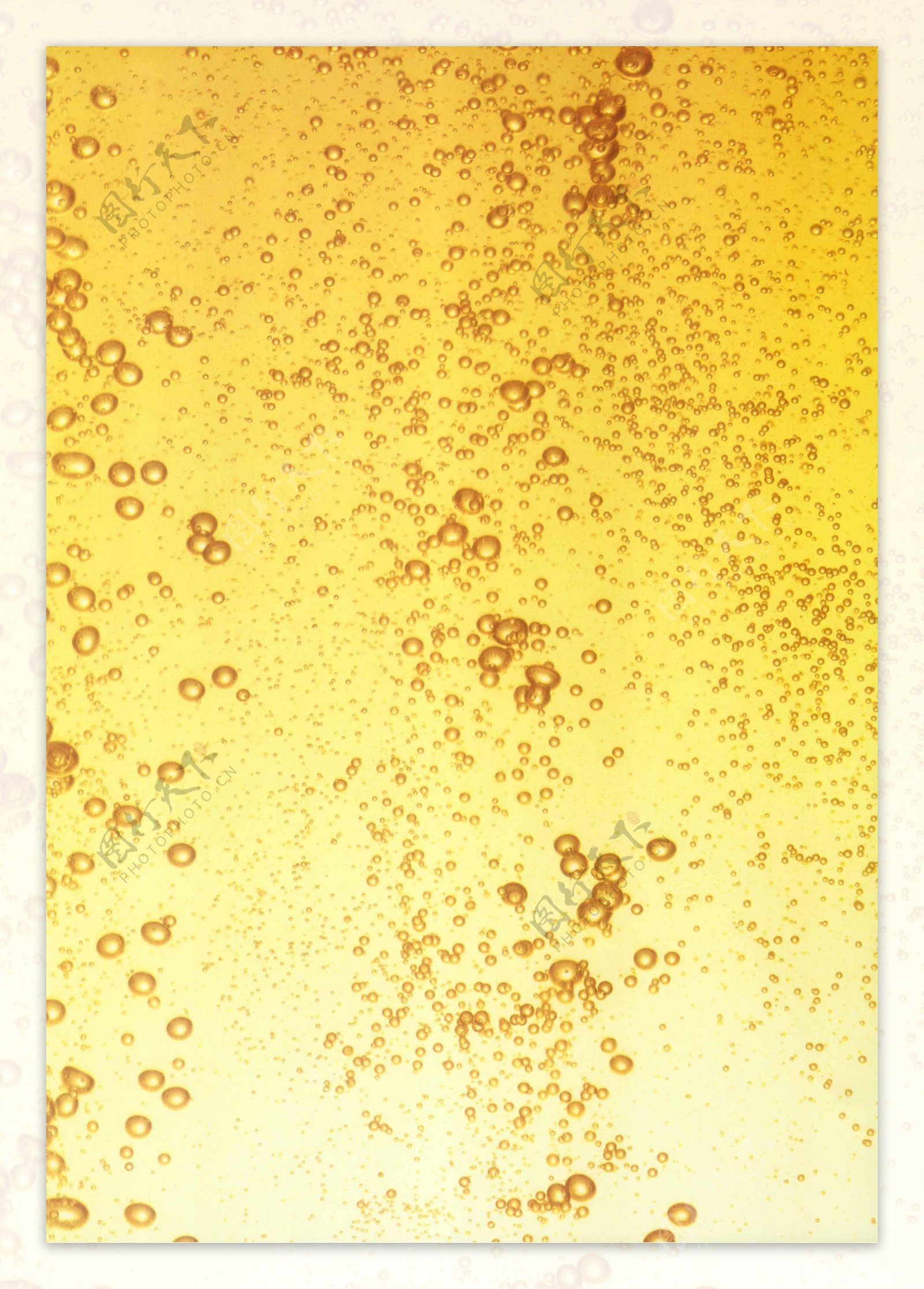 啤酒泡图片