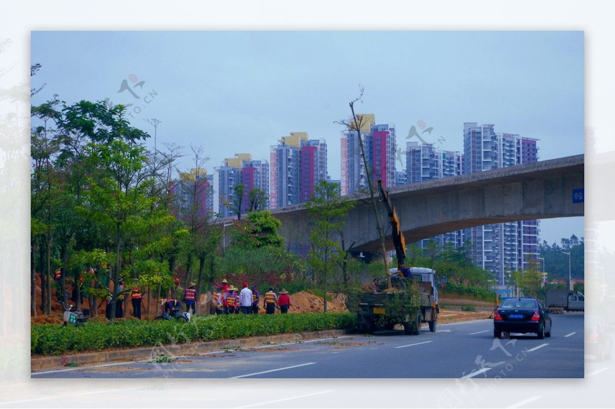 交通建设道路绿化图片