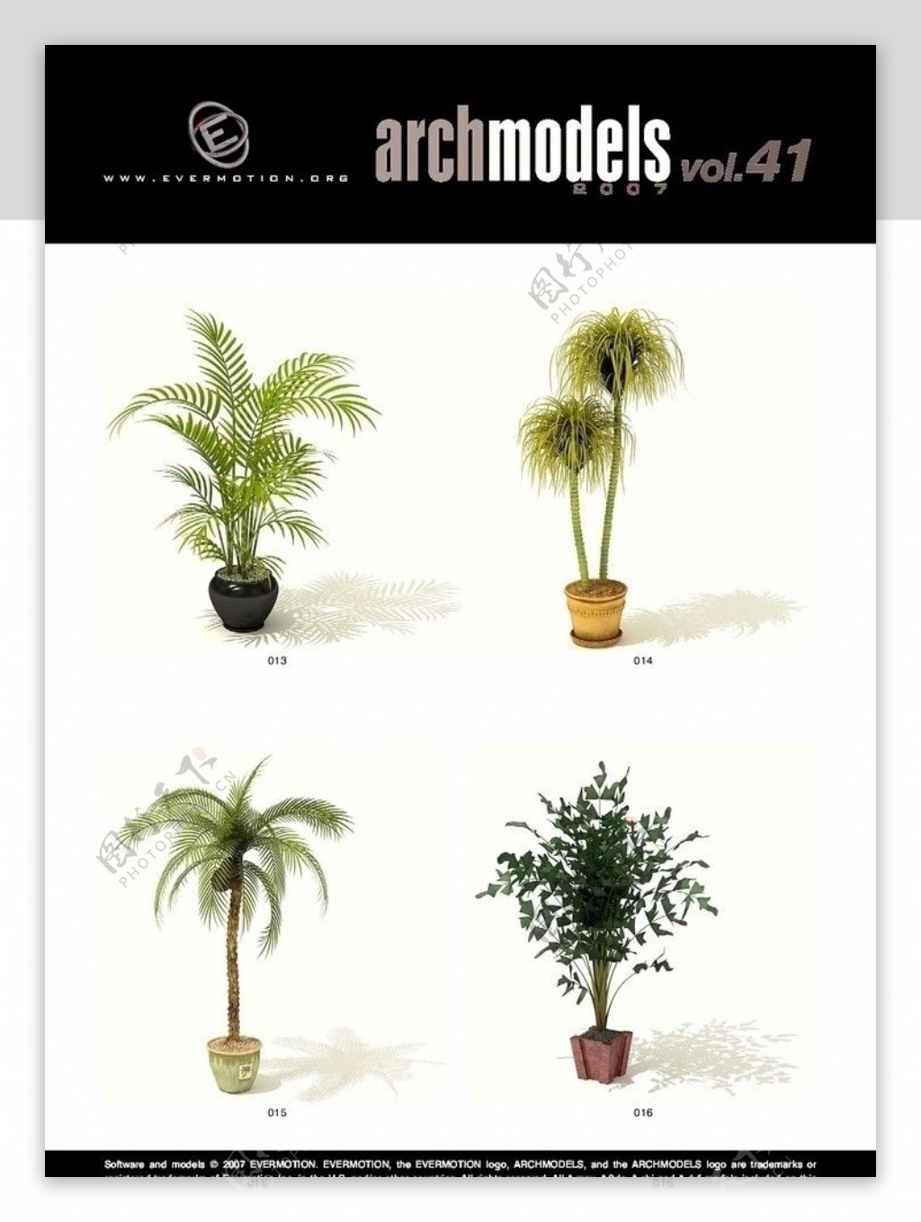 三维植物模型素材图片