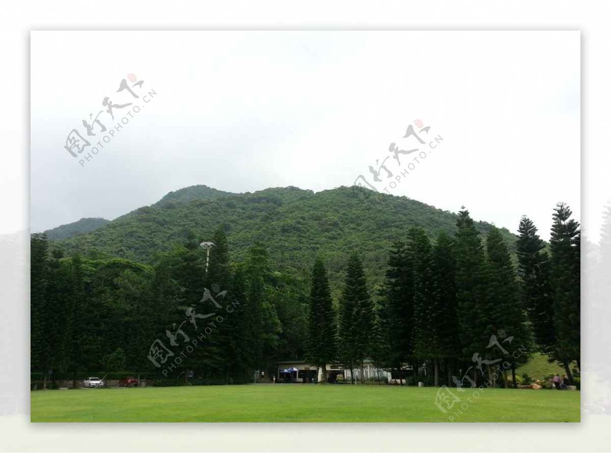 仙湖植物园景观图片