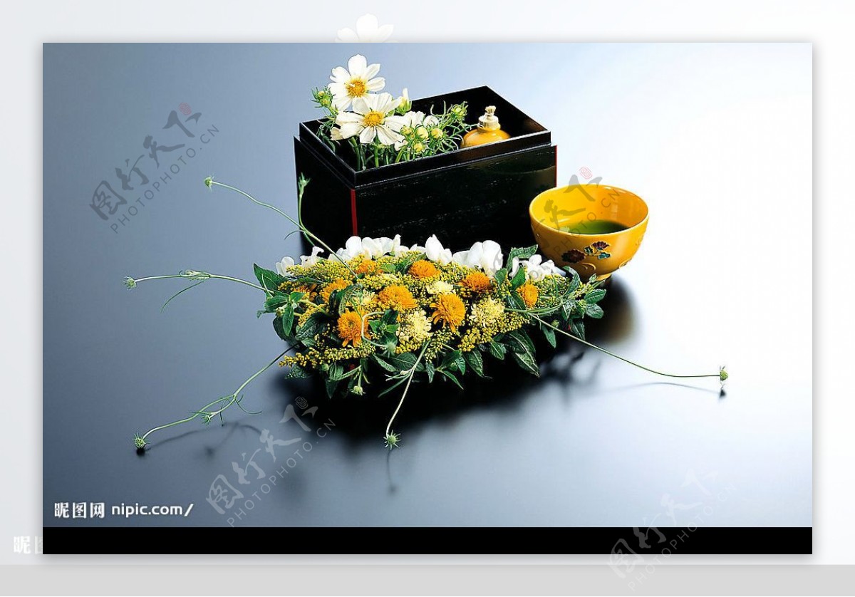 花卉艺术图片