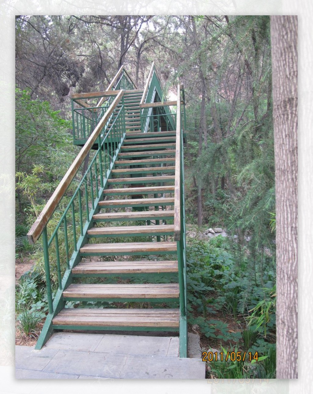 山林中的楼梯图片