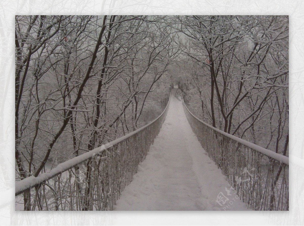 雪桥图片