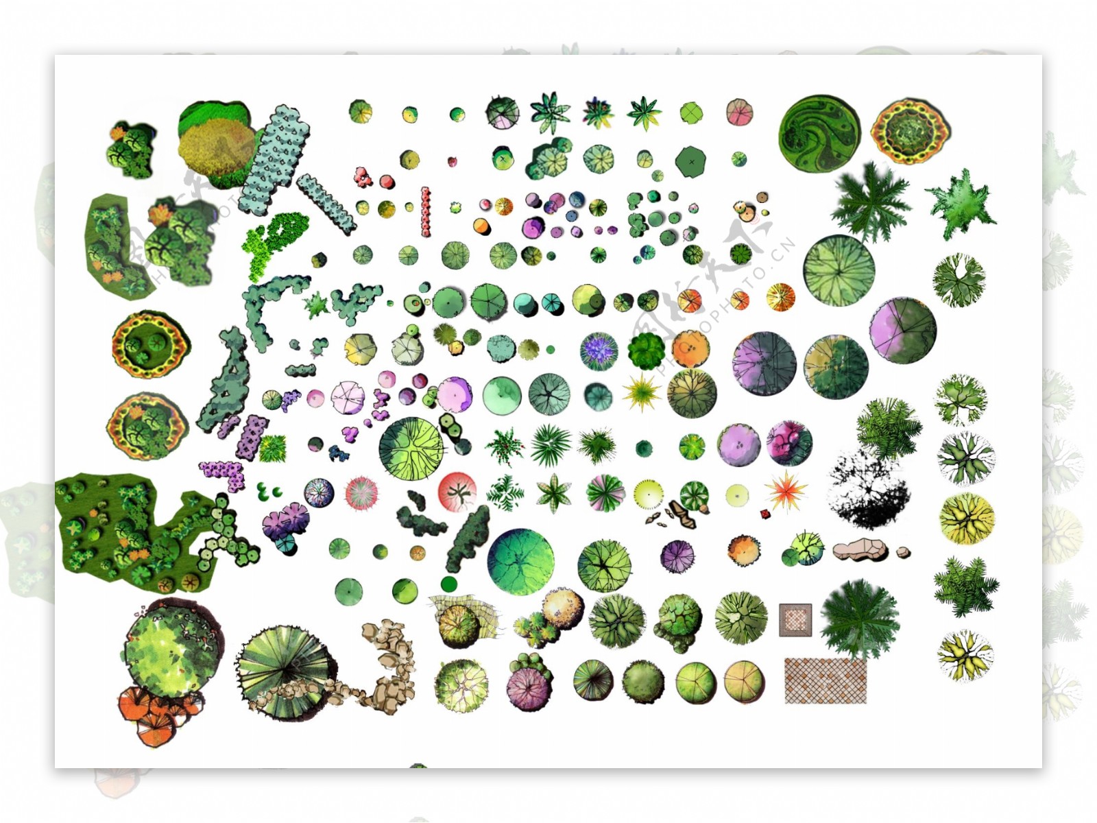 彩色平面植物素材图片