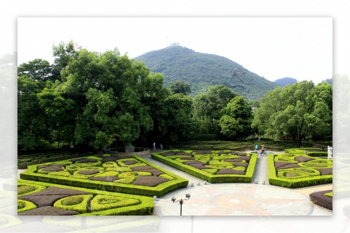 桂林市园林植物园绿化带图片