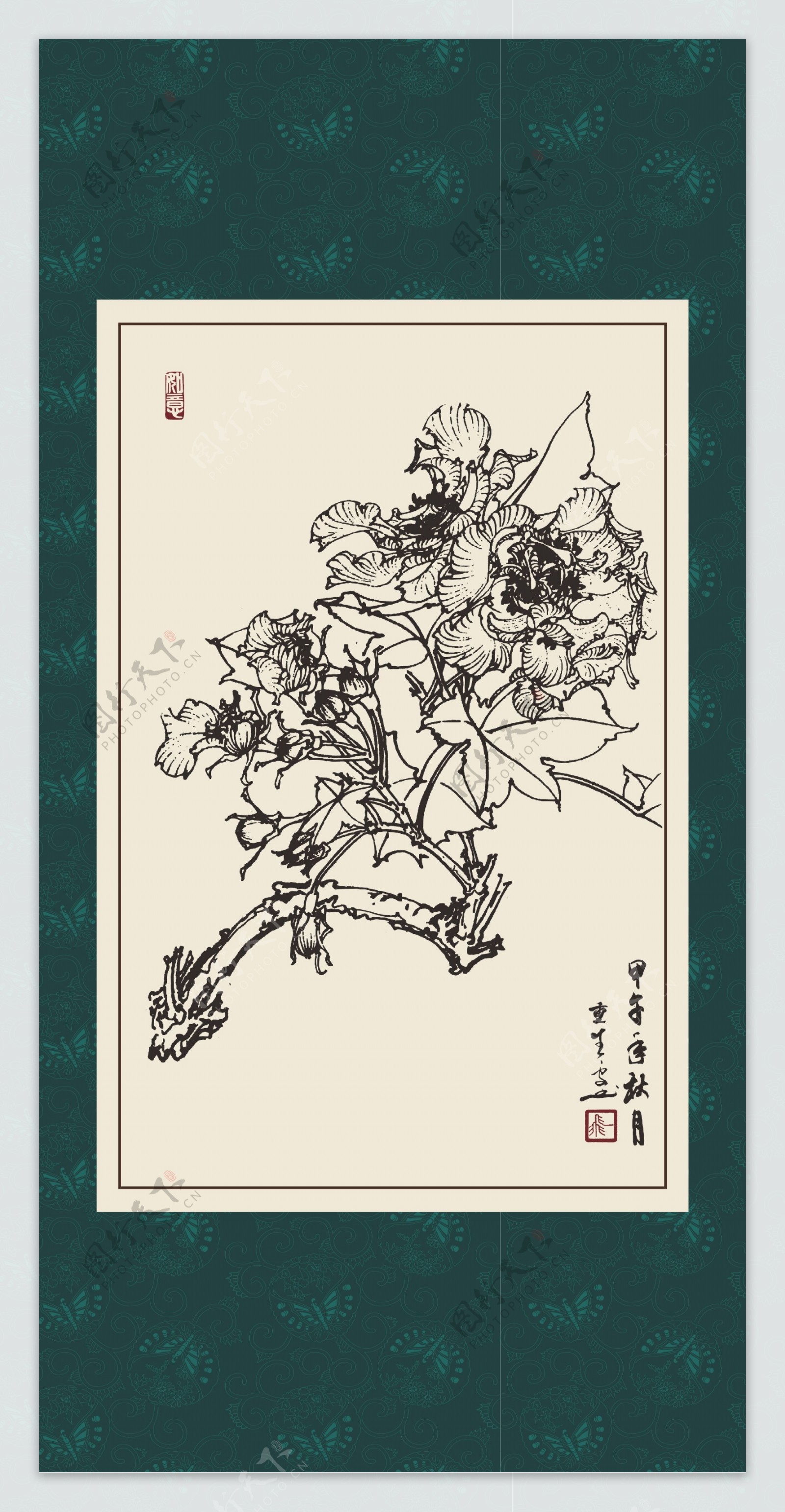 白描芙蓉图片