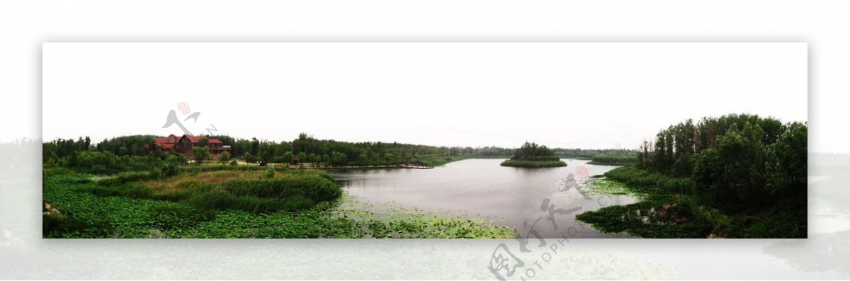 湿地全景图片