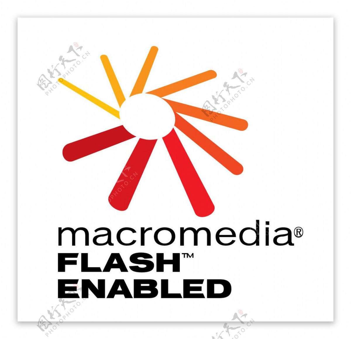 MacromediaFlash标志图片