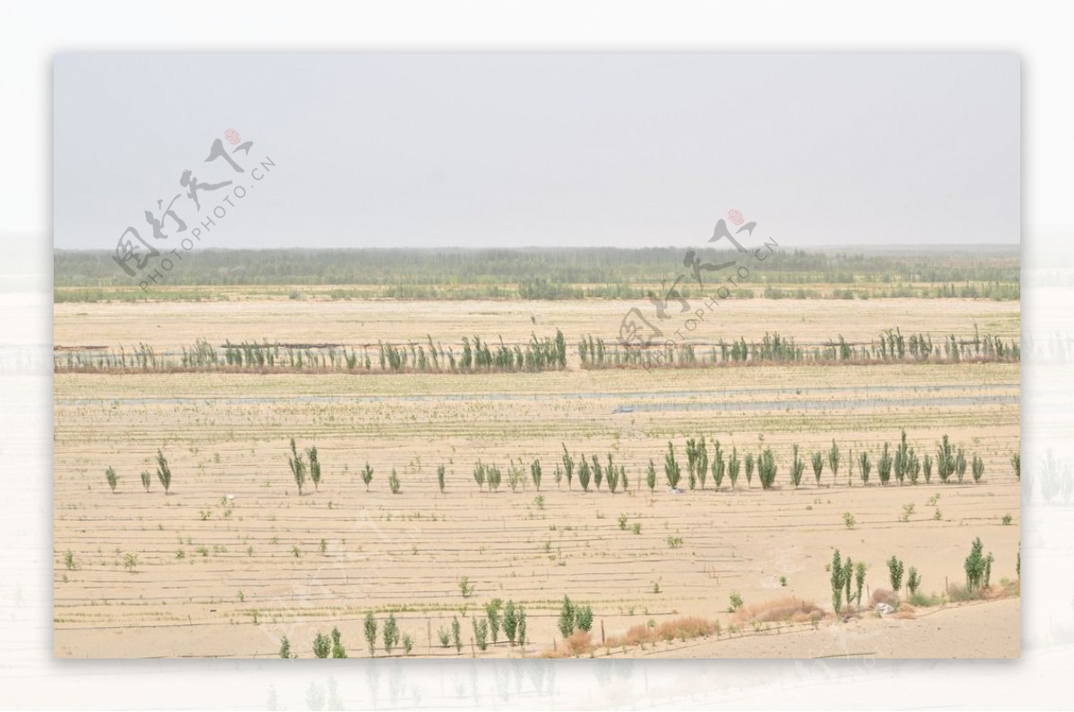 新疆农田图片