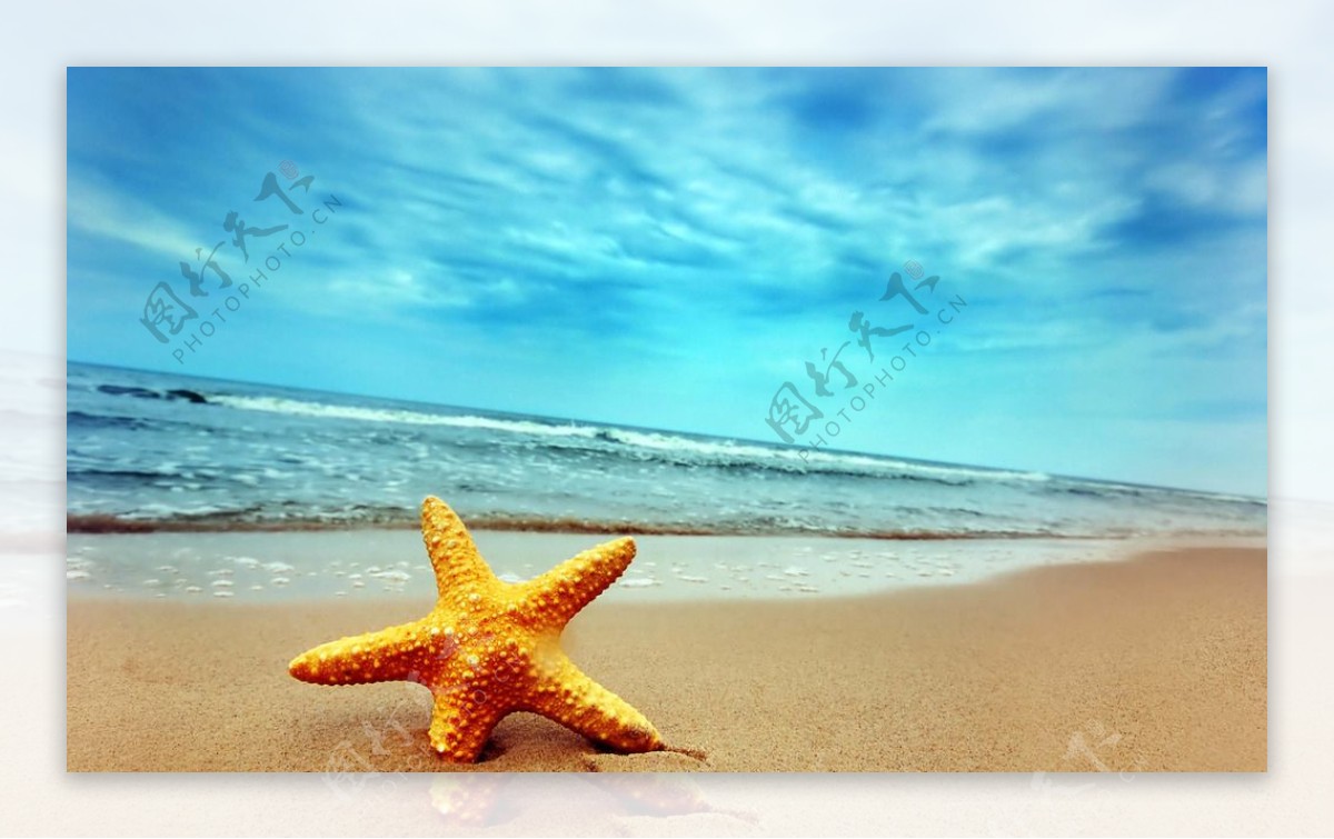 唯美海星沙滩图片