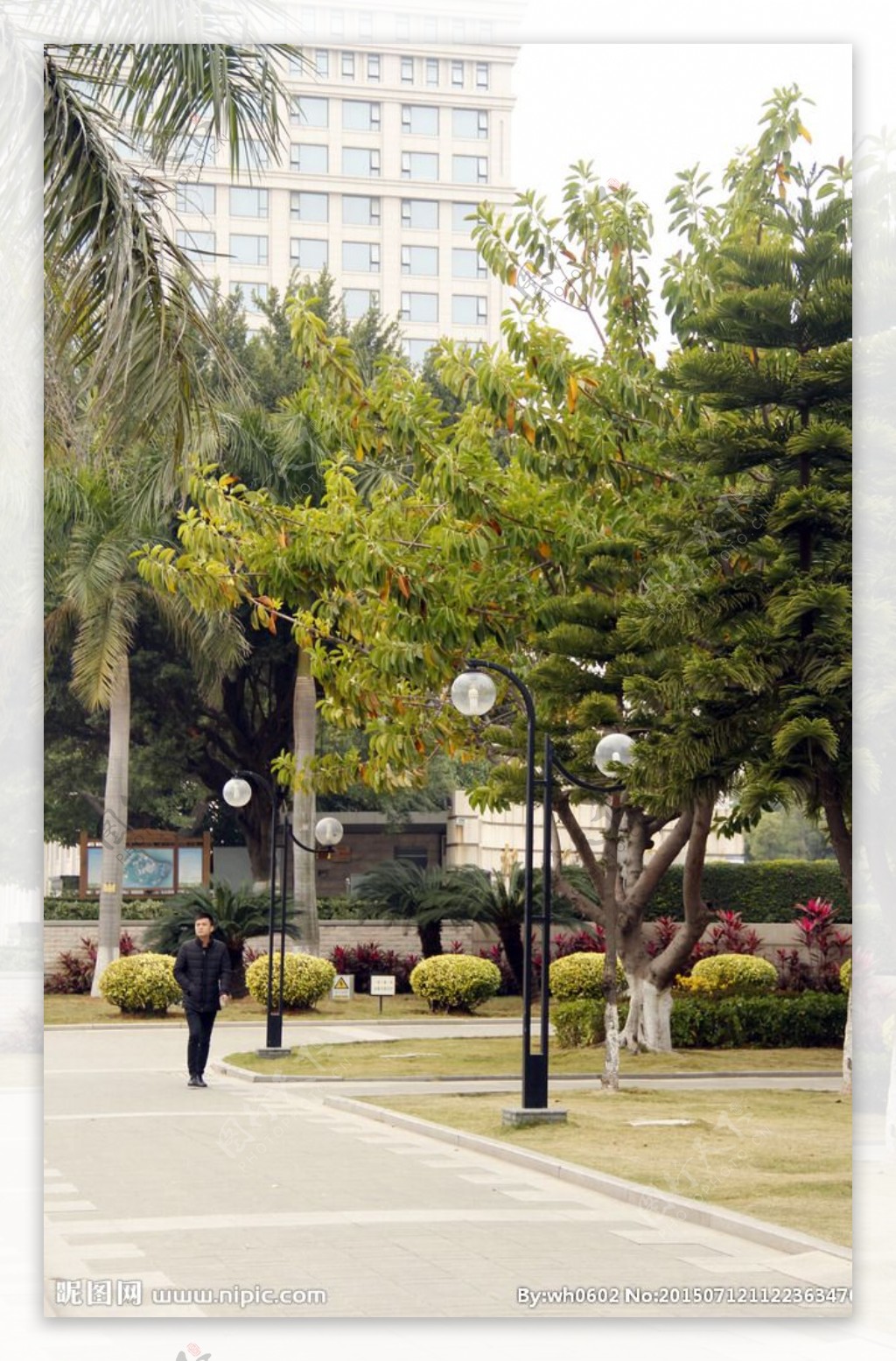 公园道路晋江世纪公园图片