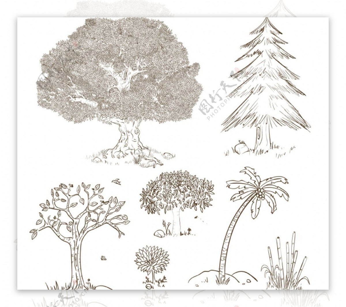 手绘树木设计图片