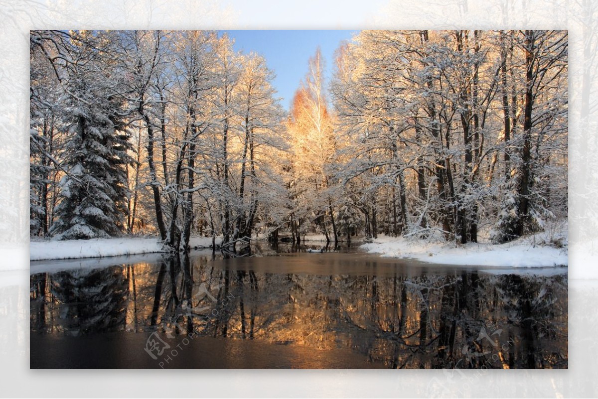 融雪中的森林图片素材