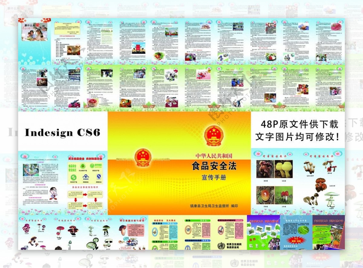 食品安全法宣传手册图片