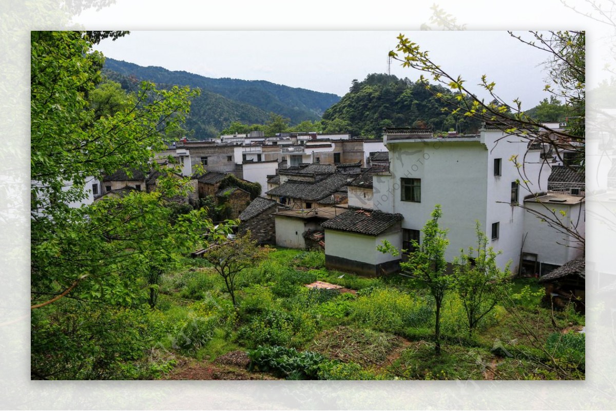 婺源晓起村图片