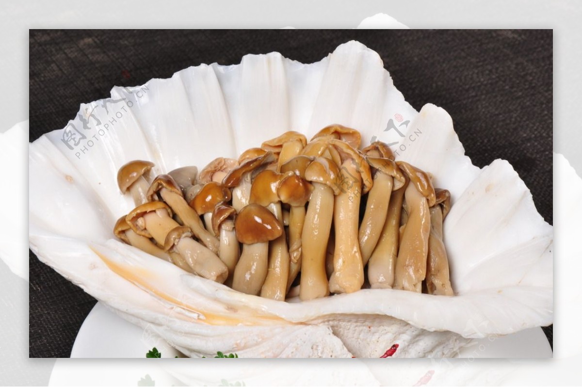 蘑菇炒肉图片