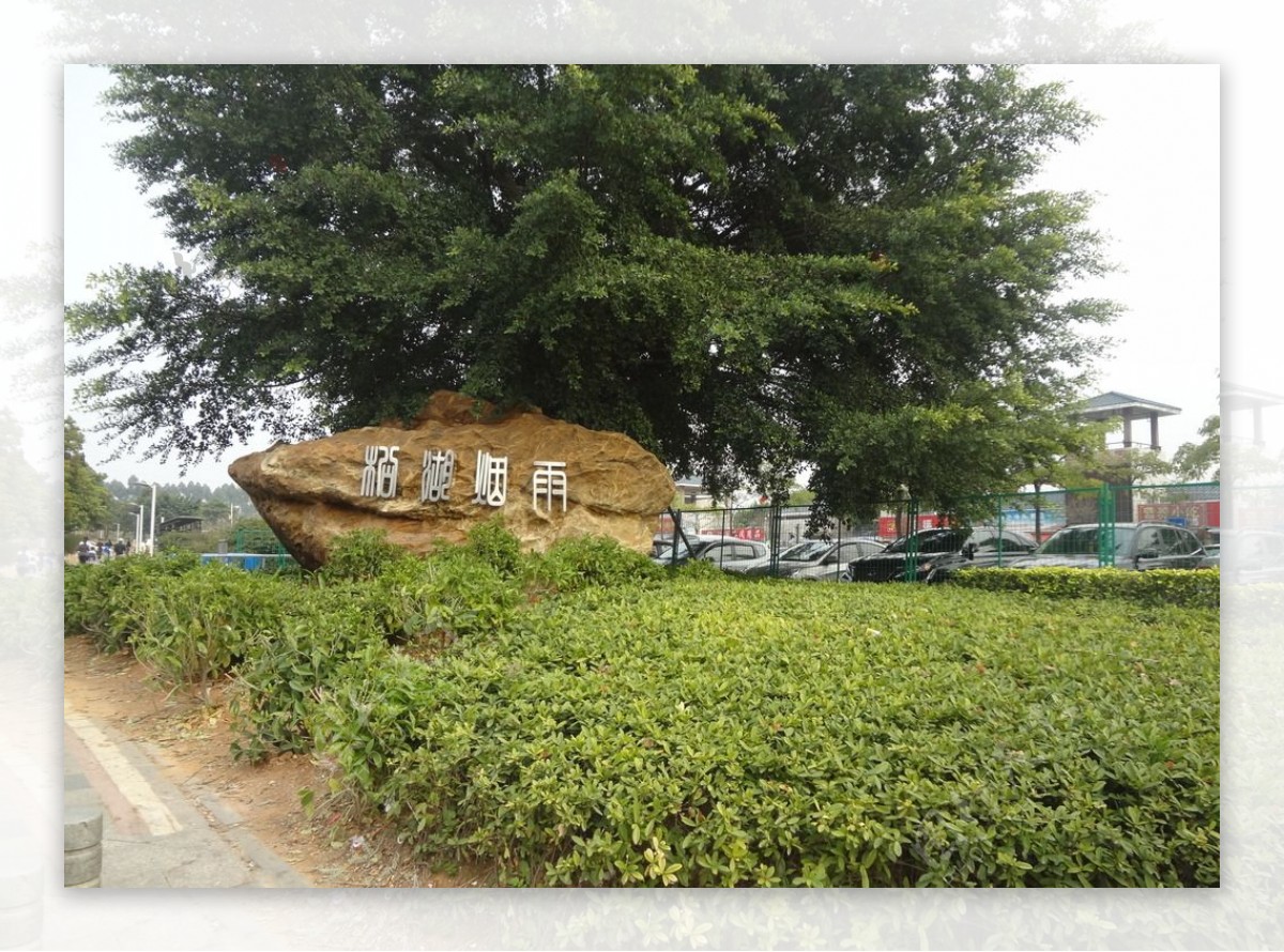 松湖烟雨图片