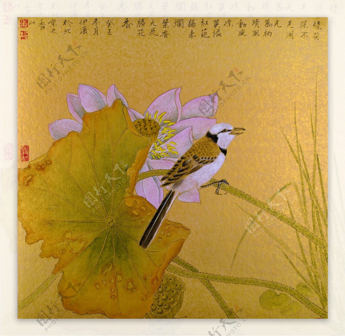 中国画工笔花鸟画图片