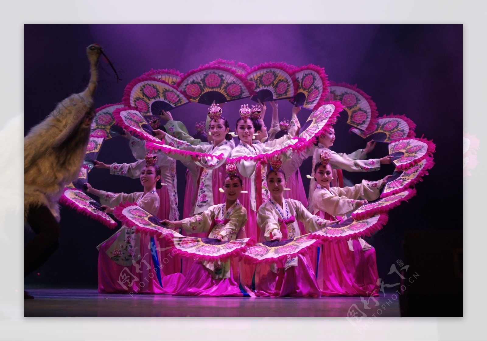 韩国舞蹈群舞紫色扇子图片