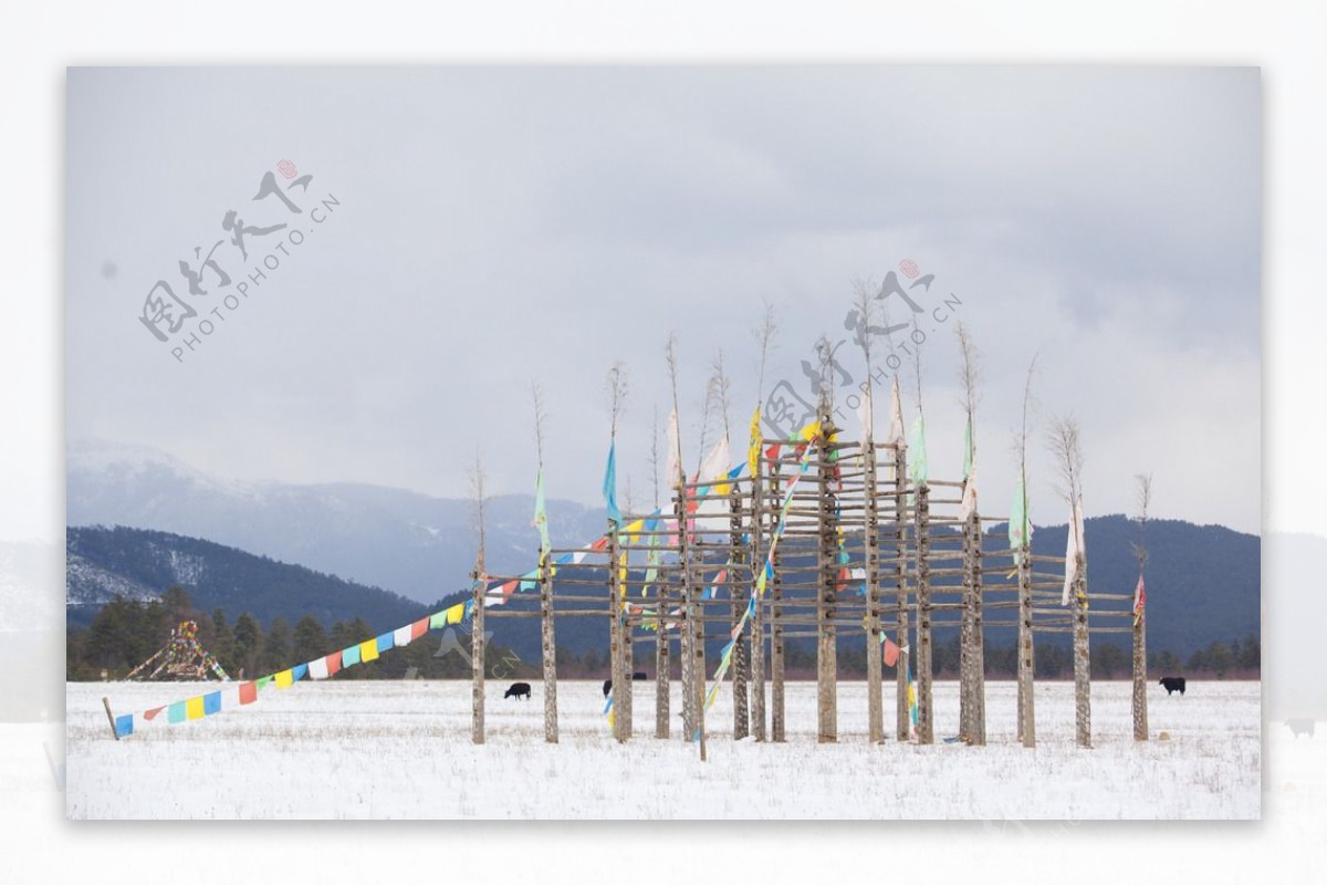 藏区冬景图片