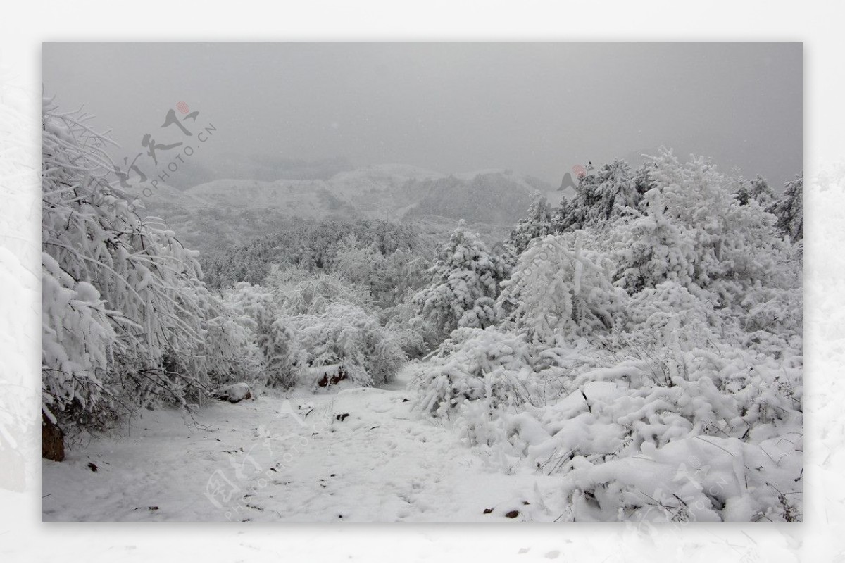 雪景图片