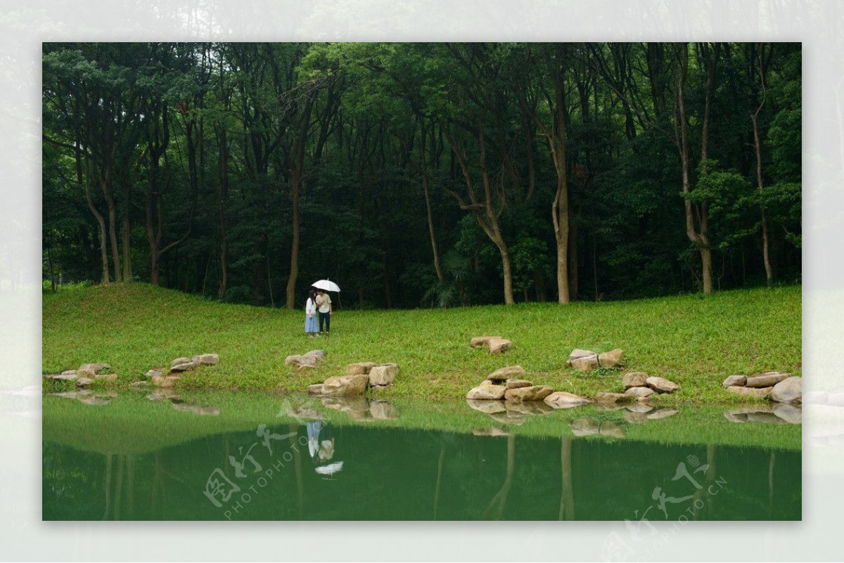 植物园里的风景图片