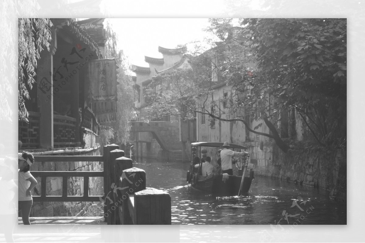 枫泾风景图片