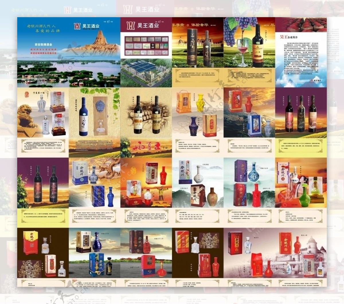 昊王酒业画册图片