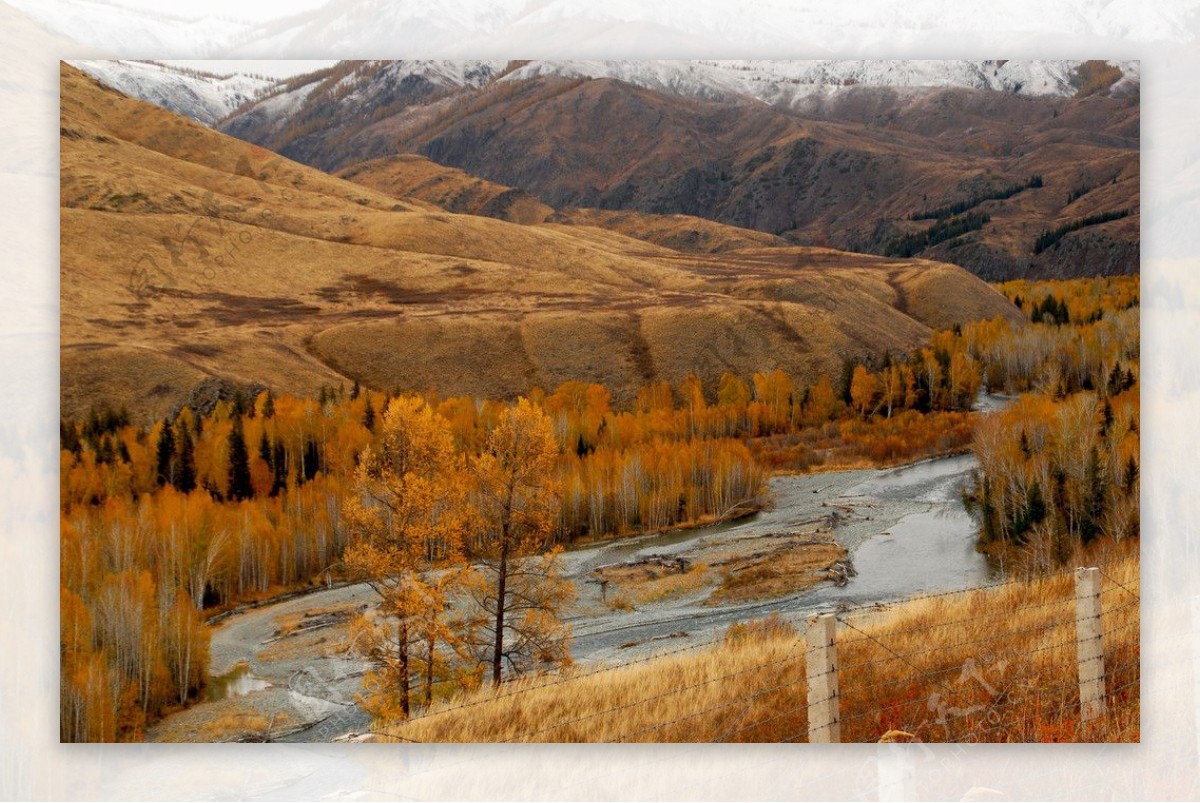北疆秋景图片