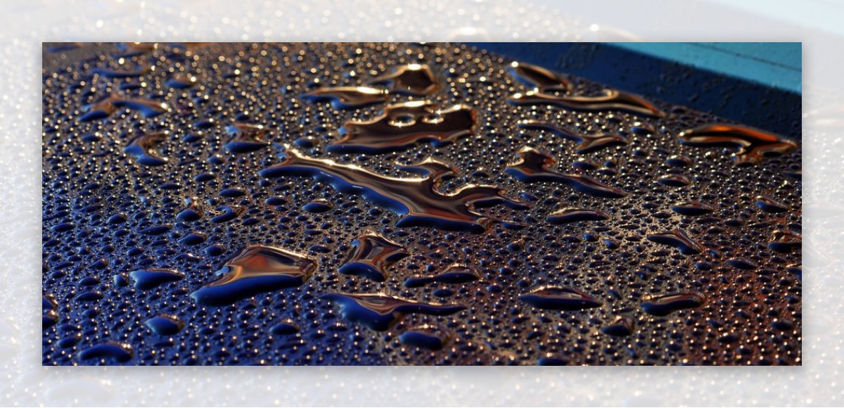 雨天的水珠水珠水滴图片