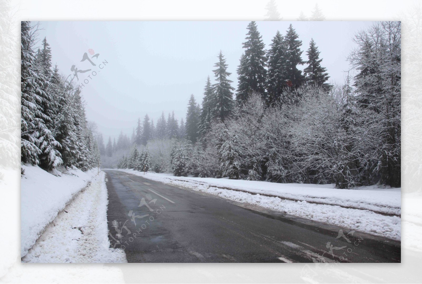 公路积雪图片