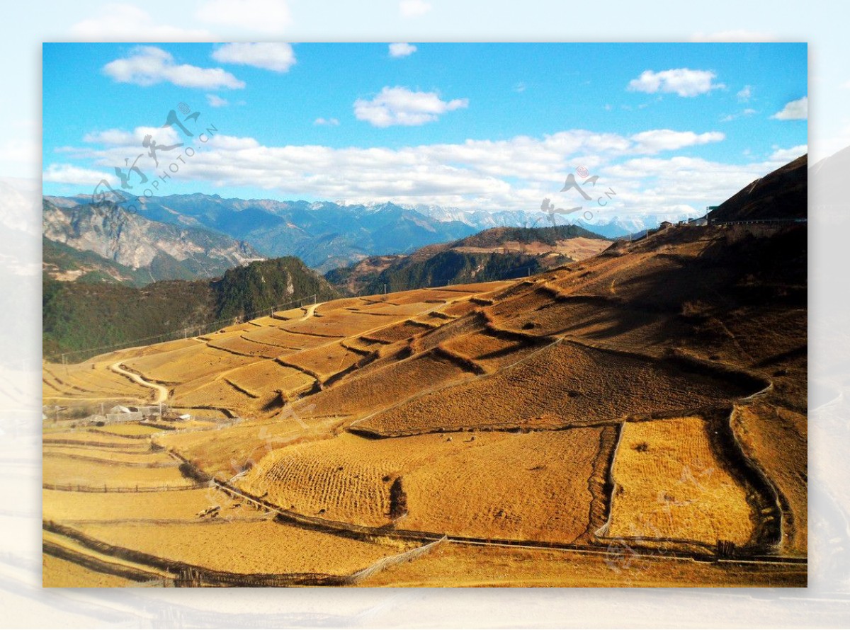 高原梯田风景图片