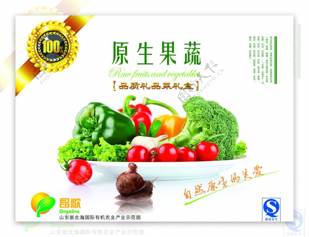 蔬菜包装设计图片