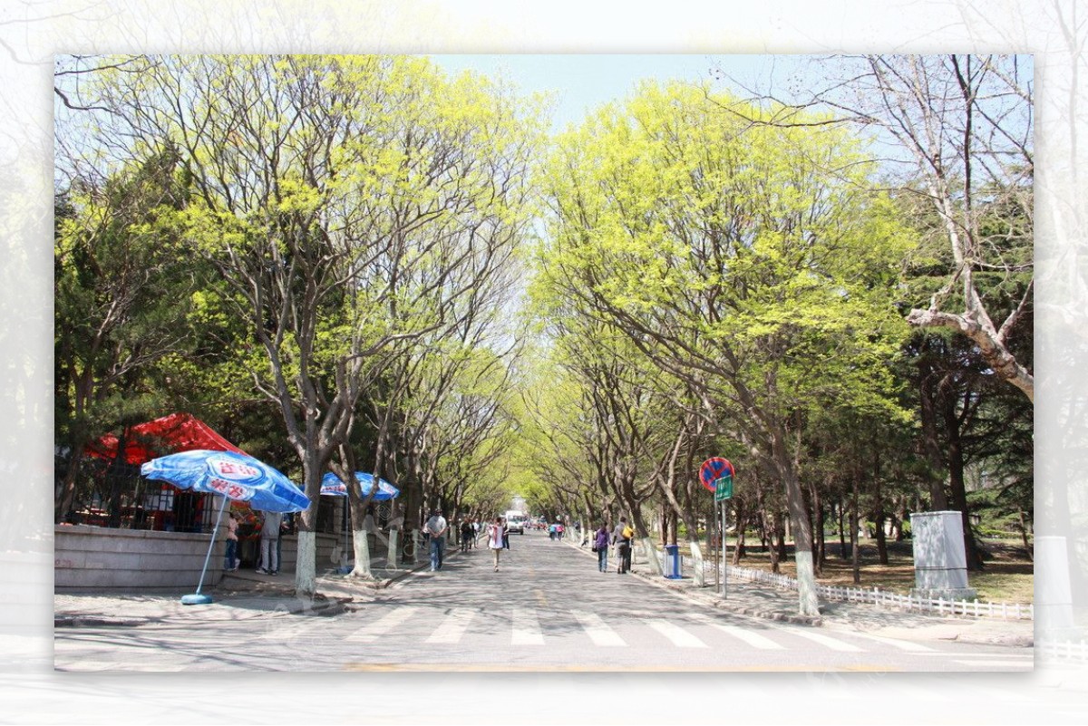 青岛八大关风景图片