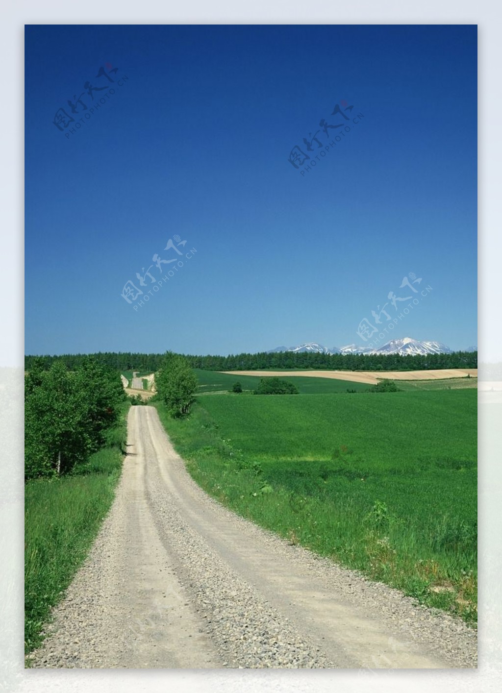 乡间小路风景图片